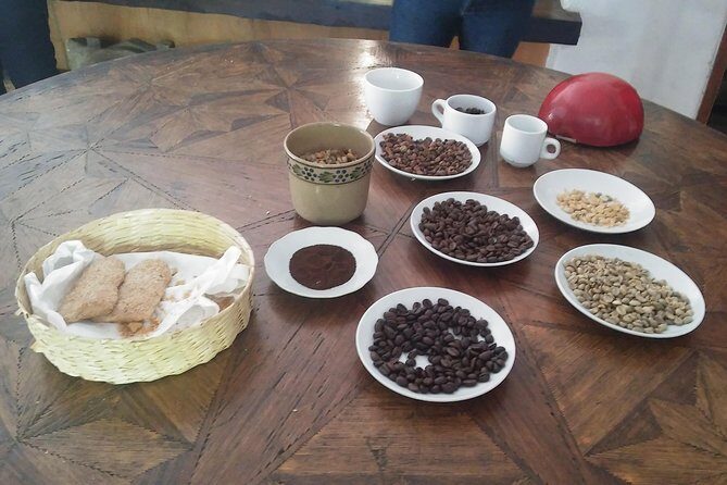 Coatepec and Xico Magical Towns Plus Xalapa Day Trip from Veracruz - Who Should Consider This Tour?