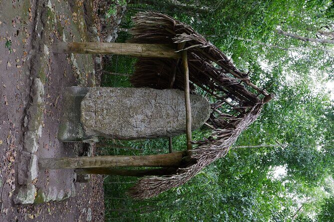 Cobá Ruins Mayan Village and Cenote Tour from Riviera Maya - Transportation, Meals, and Overall Comfort