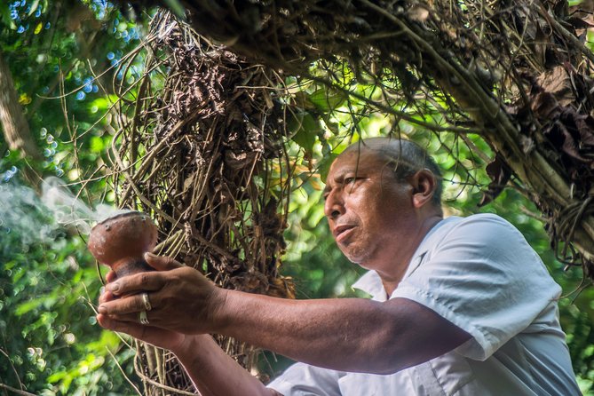 Coba Ruins, Punta Laguna Nature Reserve, Cenote and Mayan Family - COVID-19 Safety Measures