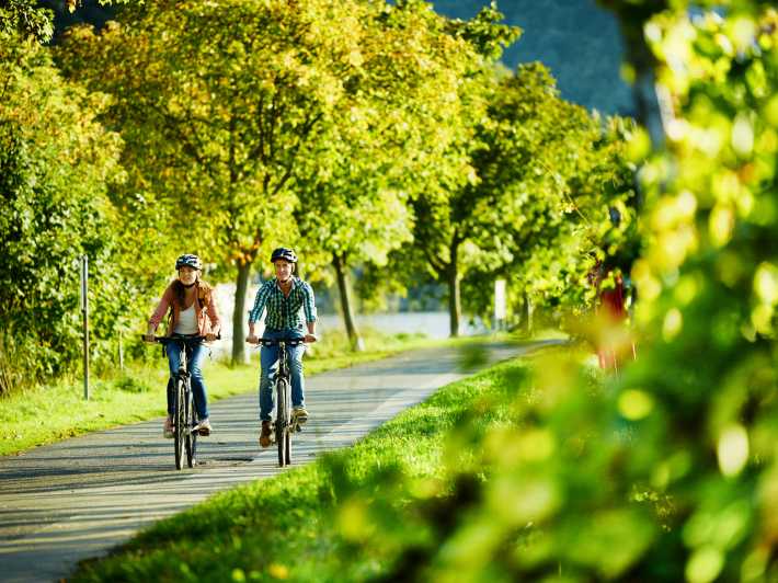 Cochem: Bike and Boat Tour with Picnic and Wine Tasting - An Authentic Day Along the Moselle