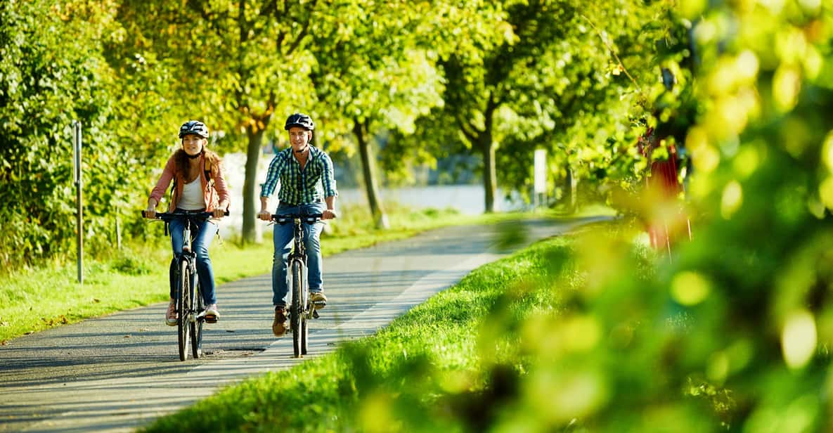 Cochem: Bike and Boat Tour with Picnic and Wine Tasting - Picnic in the Heart of the Vineyards