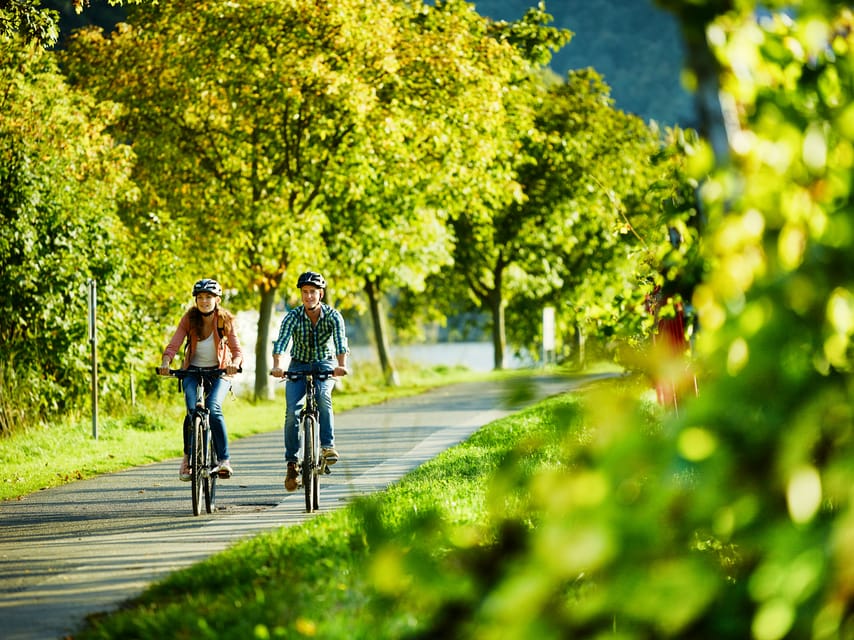 Cochem: Bike and Boat Tour with Picnic and Wine Tasting - Wine Tasting and Local Flavors