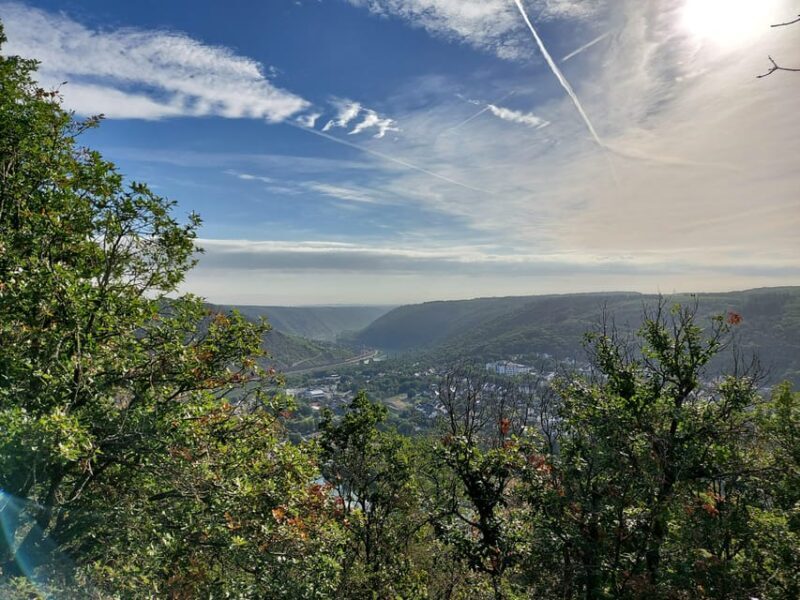 Cochem, Moselle: Wine experience hike with boat - A Detailed Look at the Tour