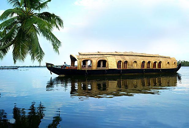 Cochin: Alleppey Backwater Private Day Cruise by Houseboat - Itinerary and Highlights