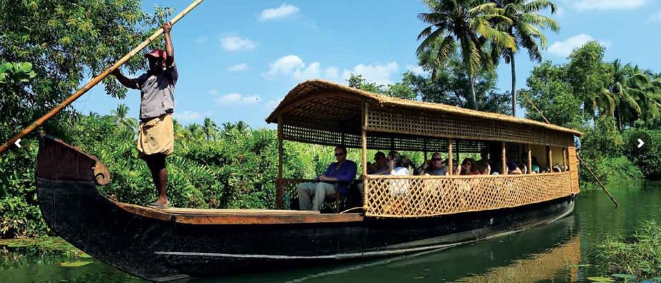 Cochin: Half-Day Backwater Village Eco Boat Cruise W/ Lunch - Inclusions and Exclusions