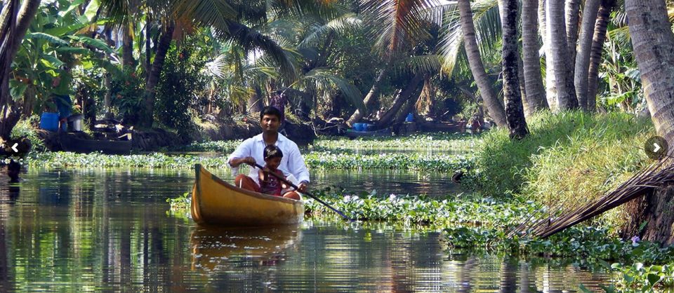 Cochin: Half-Day Backwater Village Eco Boat Cruise W/ Lunch - Customer Experiences and Ratings
