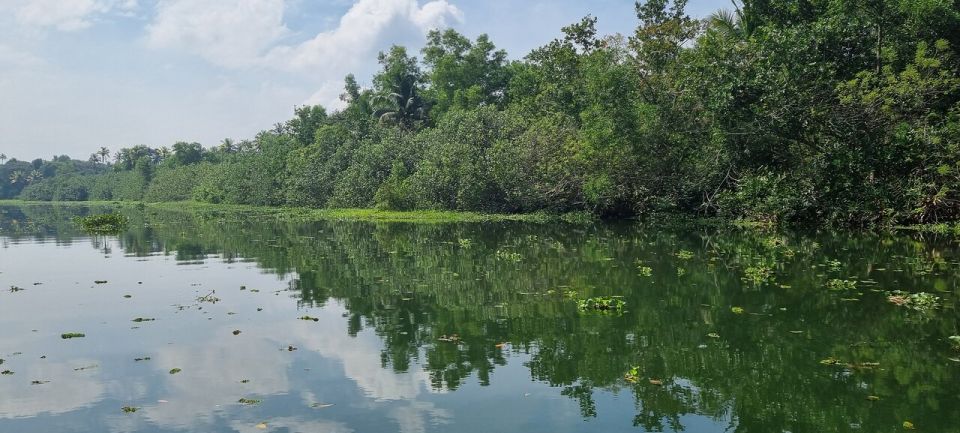 Cochin: Half-Day Backwater Village Eco Boat Cruise W/ Lunch - Cancellation and Refund Policy