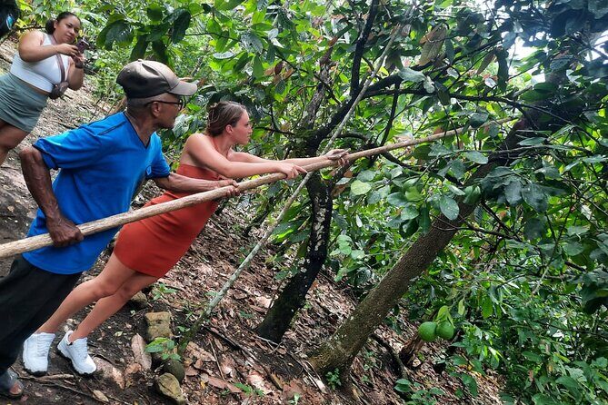 Cocoa & Artisan Chocolate Route with an Historical Tour in Puerto Plata City - Introduction