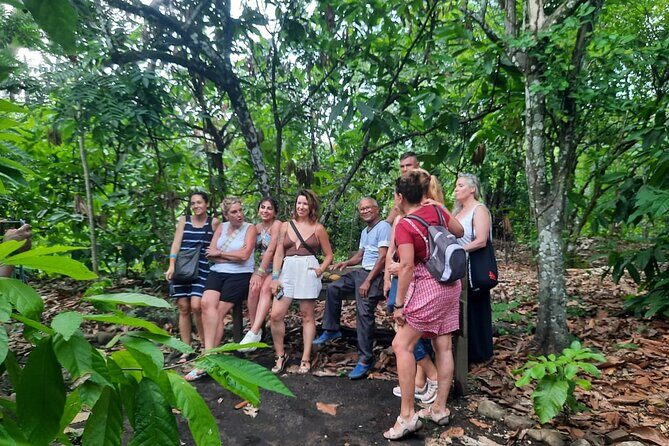 Cocoa & Artisan Chocolate Route with an Historical Tour in Puerto Plata City - Key Points