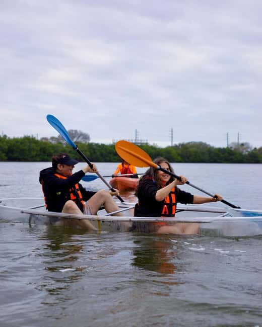 Cocoa Beach: Clear Kayak Bioluminescence Tour - An In-Depth Look at the Cocoa Beach Bioluminescence Kayak Tour