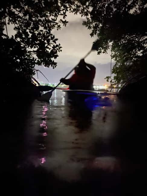 Cocoa Beach: Clear Kayak Sunset & Bioluminescence Tour - An Introduction to the Cocoa Beach Sunset & Bioluminescence Tour