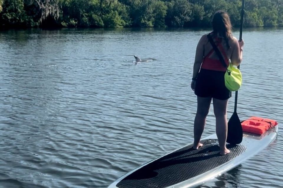 Cocoa Beach: Dolphin and Manatee Kayak or Paddle Tour - Wildlife and Nature