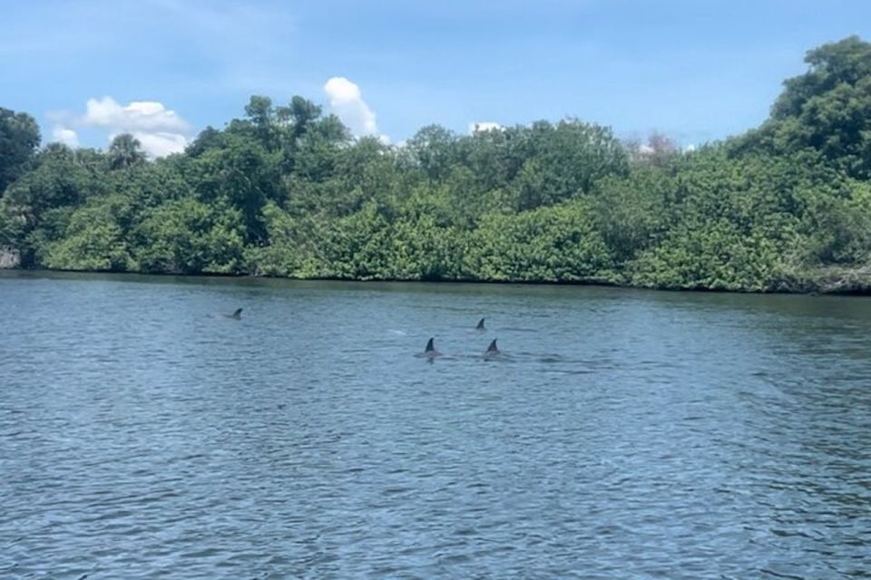 Cocoa Beach: Dolphin and Manatee Kayak or Paddle Tour - Activity Highlights