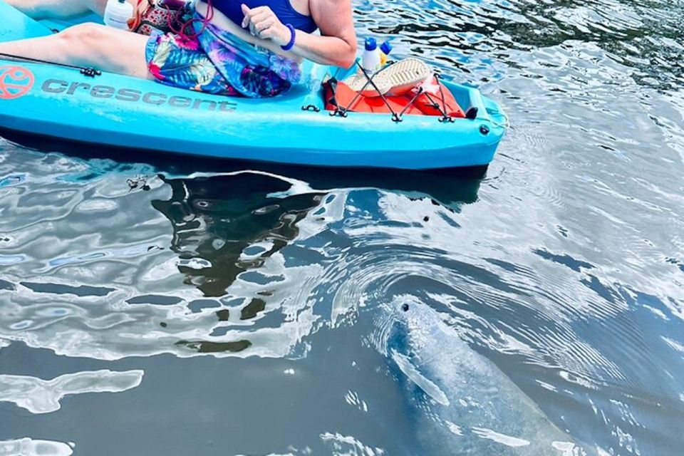 Cocoa Beach: Dolphin and Manatee Kayak or Paddle Tour - Meeting Point and Directions