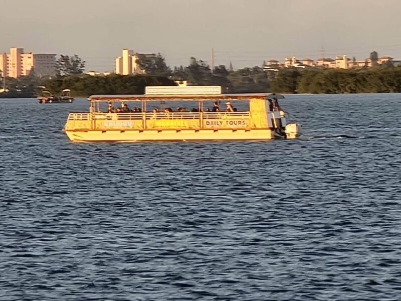 Cocoa Beach Dolphin and Wildlife Tour - What You Need to Know Before You Go