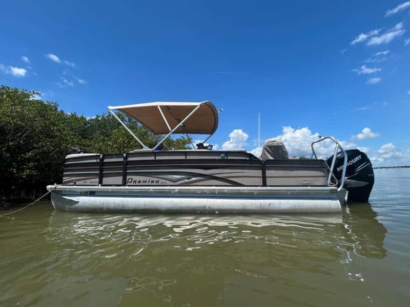 Cocoa Beach: Dolphin & Manatee Pontoon Cruise - Why This Tour Stands Out