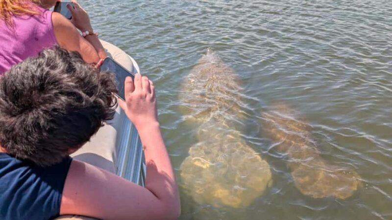 Cocoa Beach: Dolphin & Manatee Small Group Eco Boat Tour - Key Points