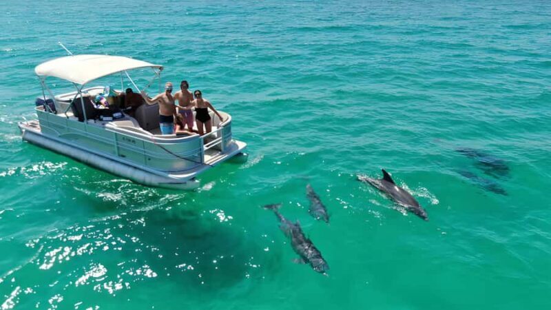 Cocoa Beach: Dolphin & Manatee Small Group Eco Boat Tour - An Authentic Look at Florida’s Wildlife Coast