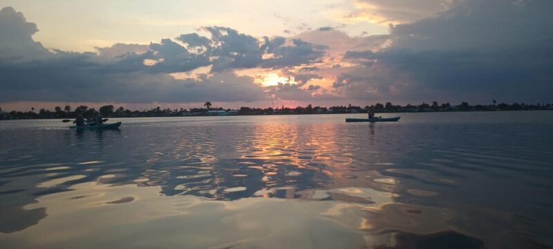 Cocoa Beach/Merritt Island: Guided Dolphin and Manatee Tour - The Richness of the Experience