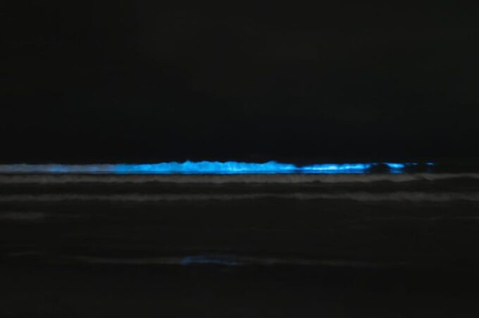 Cocoa Beach/Merritt Island:Bioluminescent Kayak Tour - Frequently Asked Questions