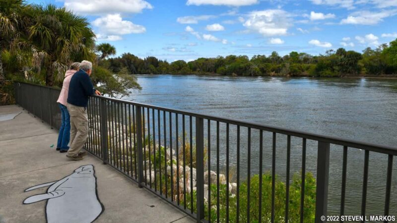 Cocoa Beach: Polaris Slingshot Curated Ride Experience - Key Points