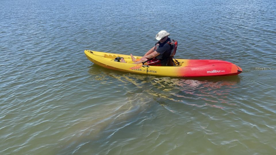Cocoa Beach: Sunset Guided Kayak Tour - Key Points