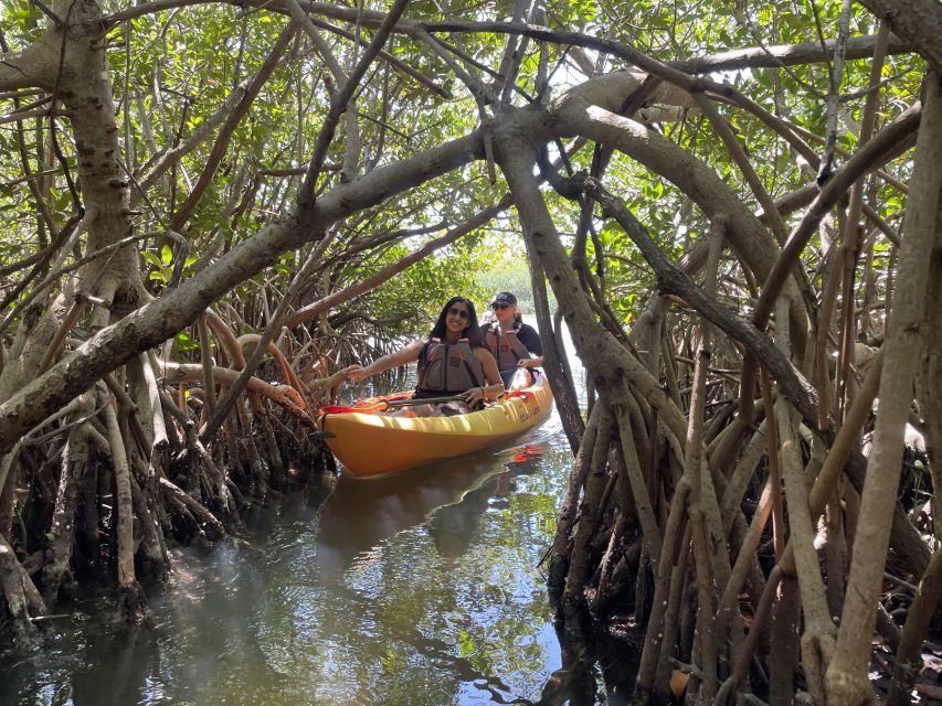 Cocoa Beach: Sunset Guided Kayak Tour - Activity Details: Exploring Mangrove Trails