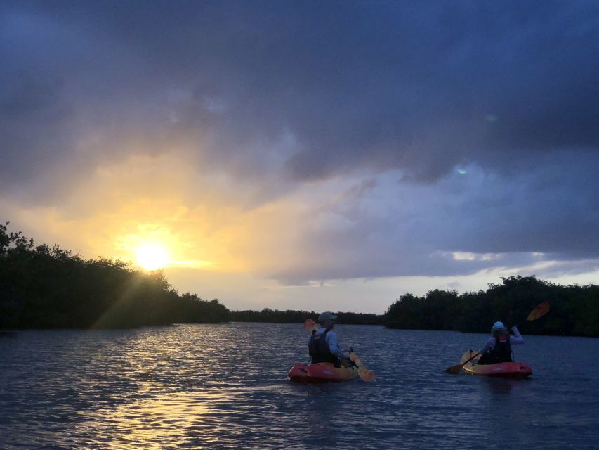Cocoa Beach: Sunset Guided Kayak Tour - Wildlife Spotting Opportunities