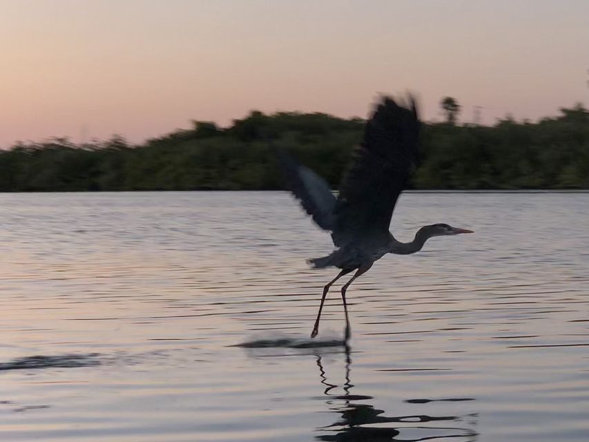 Cocoa Beach: Sunset Guided Kayak Tour - Spectacular Sunset Views