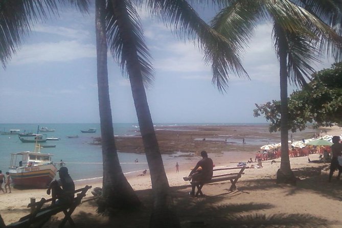 Coconut Coast and Praia Do Forte - the Famous Beaches - Meeting and Pickup