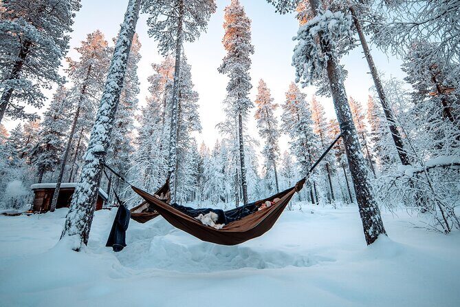 Cocooning in the HaliPuu forest: The ultimate Arctic hammock relaxation - Why You’ll Love This Tour