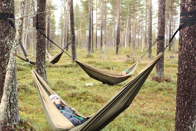 Cocooning in the HaliPuu forest: The ultimate Arctic hammock relaxation - The Value of the Experience