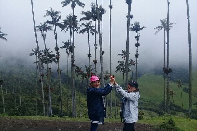 Cocora Valley, Salento and Filandia Full-Day Private Tour - Transportation and Pickup Details