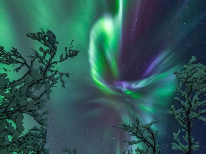 Cod Tasting Experience, Norwegian History and Food Culture - Northern Lights Photography