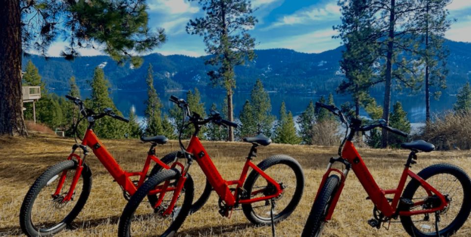 Coeur D'alene: E-Bike Rental - Group Size and Suitability