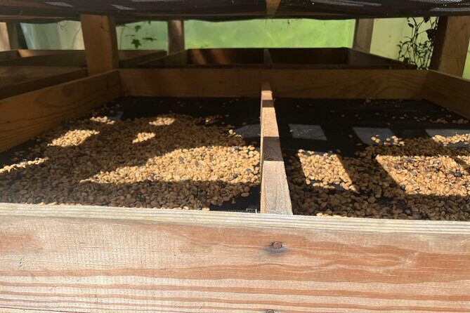 Coffee and Mountains with Personal Coffee Experience - Why This Tour Matters: Authenticity and Scenic Beauty