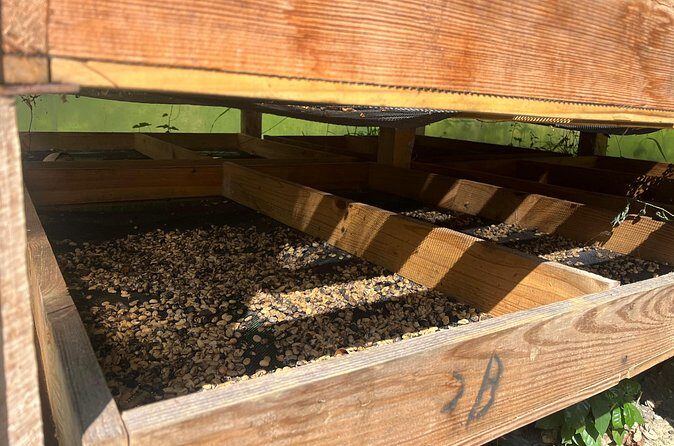 Coffee and Mountains with Personal Coffee Experience - Frequently Asked Questions