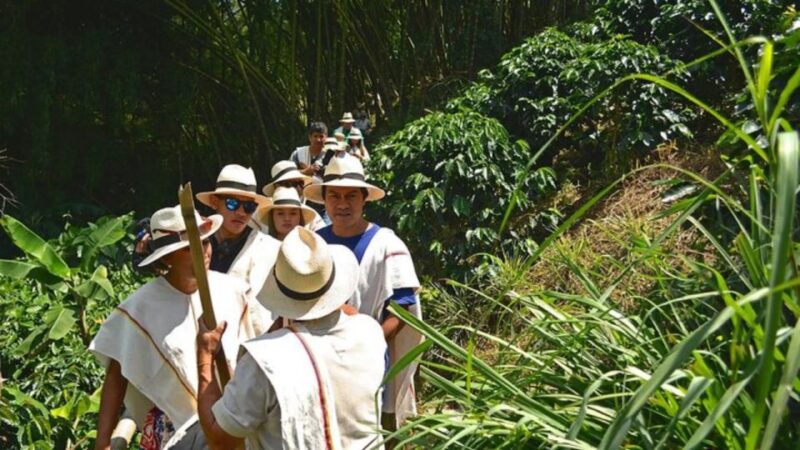 Coffee Farm and Santa Rosa Hot Springs From Pereira/Armenia - Detailed Itinerary