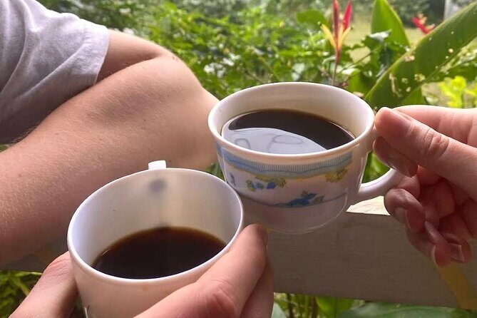 Coffee Farm Tour from Port Antonio - Key Points