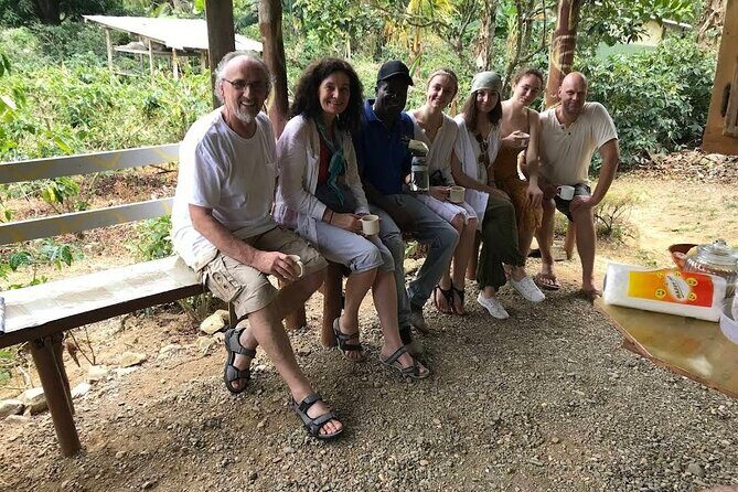 Coffee Farm Tour from Port Antonio - The Itinerary in Detail: What You’ll Experience