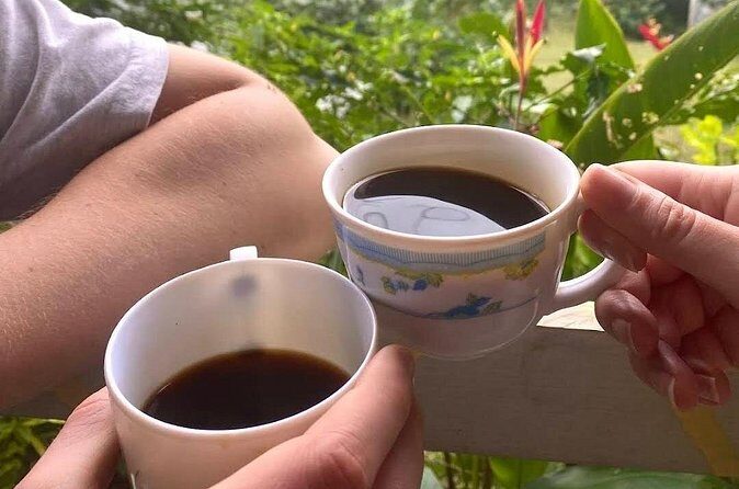 Coffee Farm Tour from Port Antonio - Frequently Asked Questions