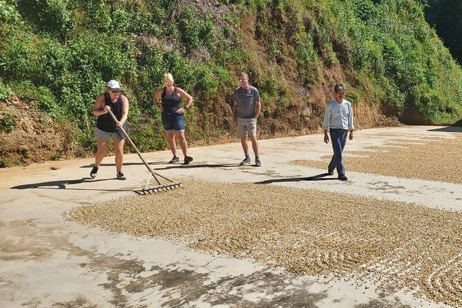 Coffee Plantation Experience - Key Points