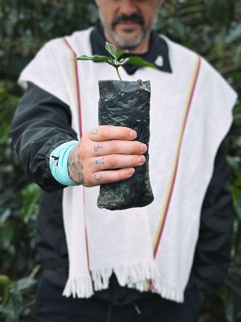 Coffee Tour in Garden Antioquia - From Medellín - Booking Process and Payment