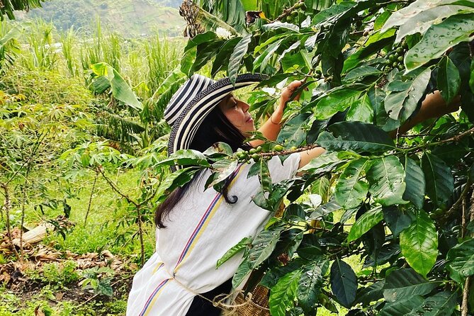 Coffee Tour in Medellín With Tastings and Transportation - Meeting and Pickup Details