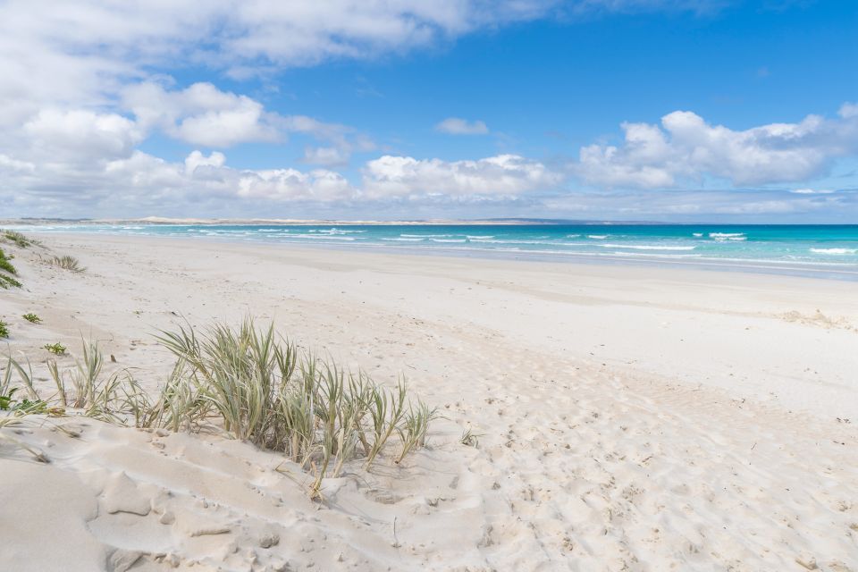 Coffin Bay National Park: Highlights and Off-Road 4WD Tour - Essential Information