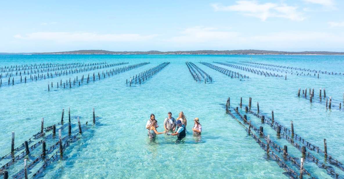 Coffin Bay: Oyster Farm Boat Tour With Wading & 12 Oysters - Key Points