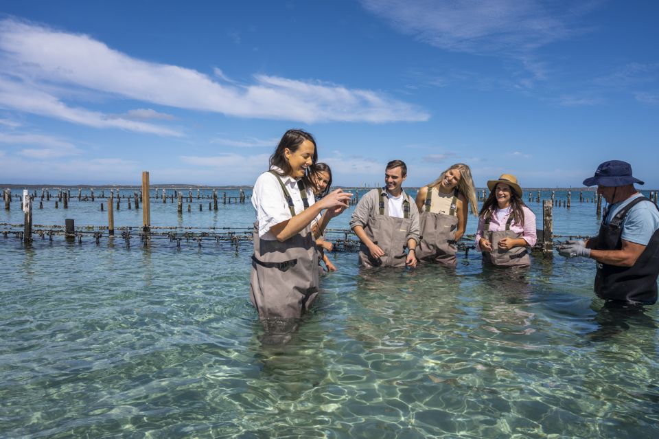 Coffin Bay: Oyster Farm Boat Tour With Wading & 12 Oysters - Inclusions