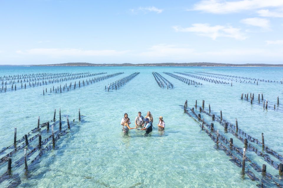 Coffin Bay: Oyster Farm Boat Tour With Wading & 12 Oysters - Important Information