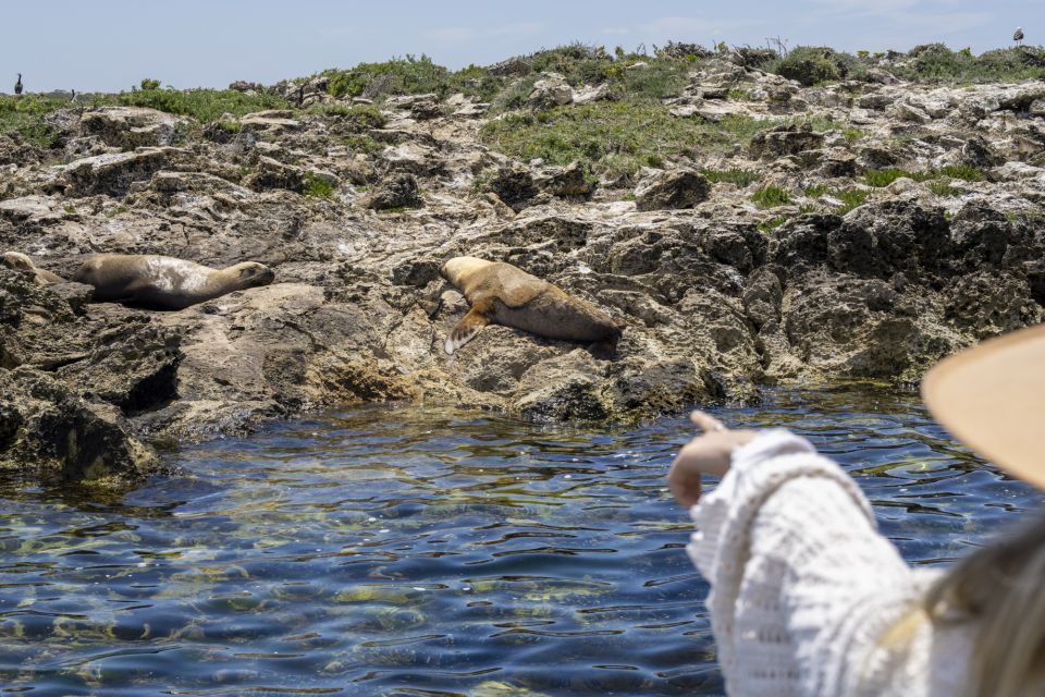Coffin Bay: Oyster Farm Boat Tour With Wading & 12 Oysters - Recap