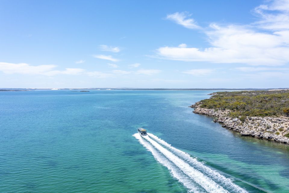 Coffin Bay: Oyster Farm Cruise With 6 Fresh Oysters - Recap